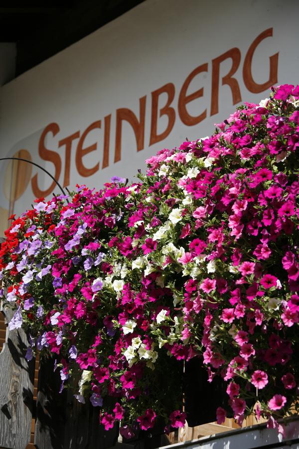 Pension Steinberg Ультимо Экстерьер фото